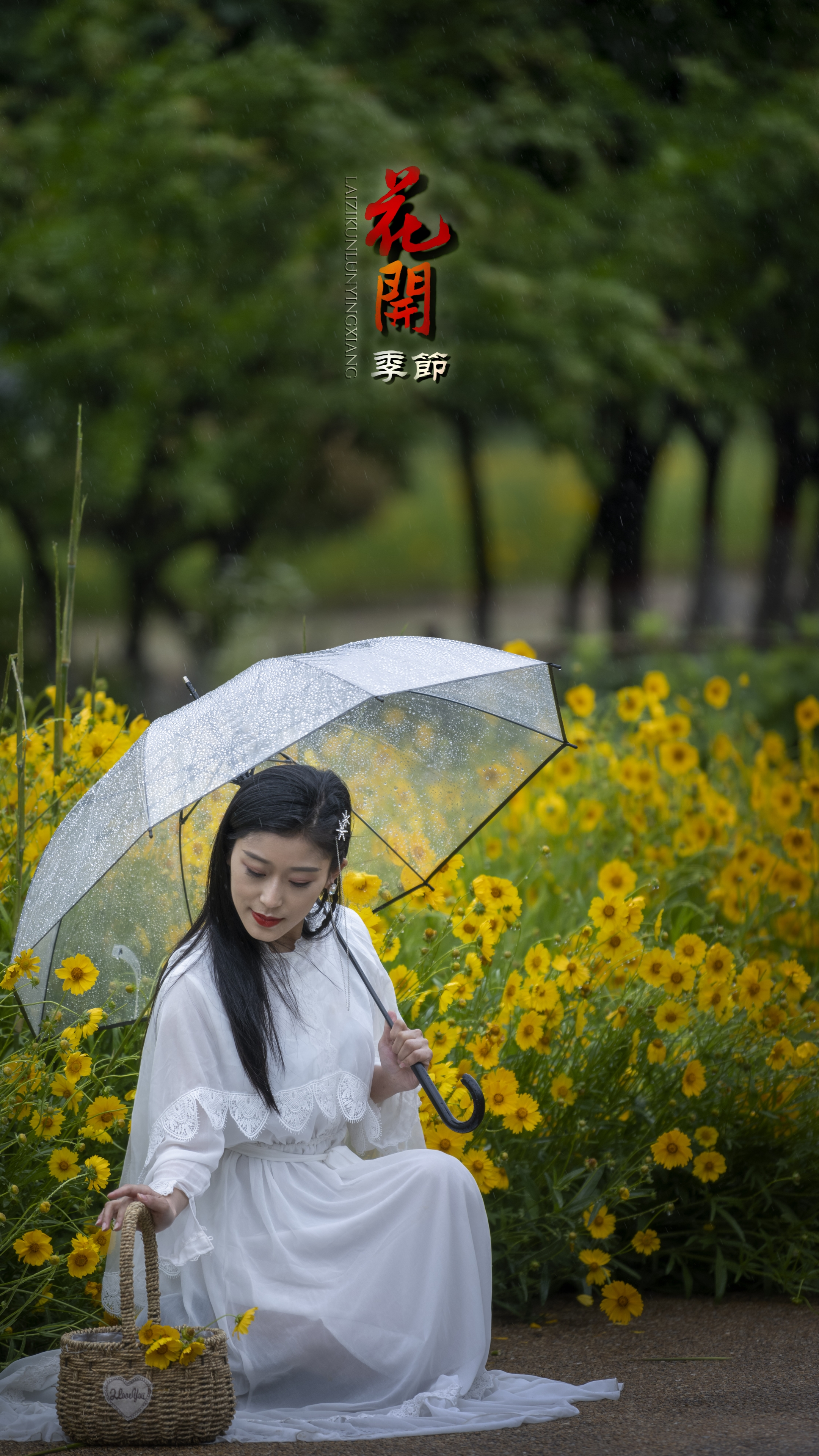 雨中的思念一