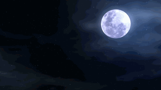 鹧鸪天.月夜请思 文/凝香聚瑞 夜卧寒宵梦难侵,鹧鸪吟唱锁眉心.