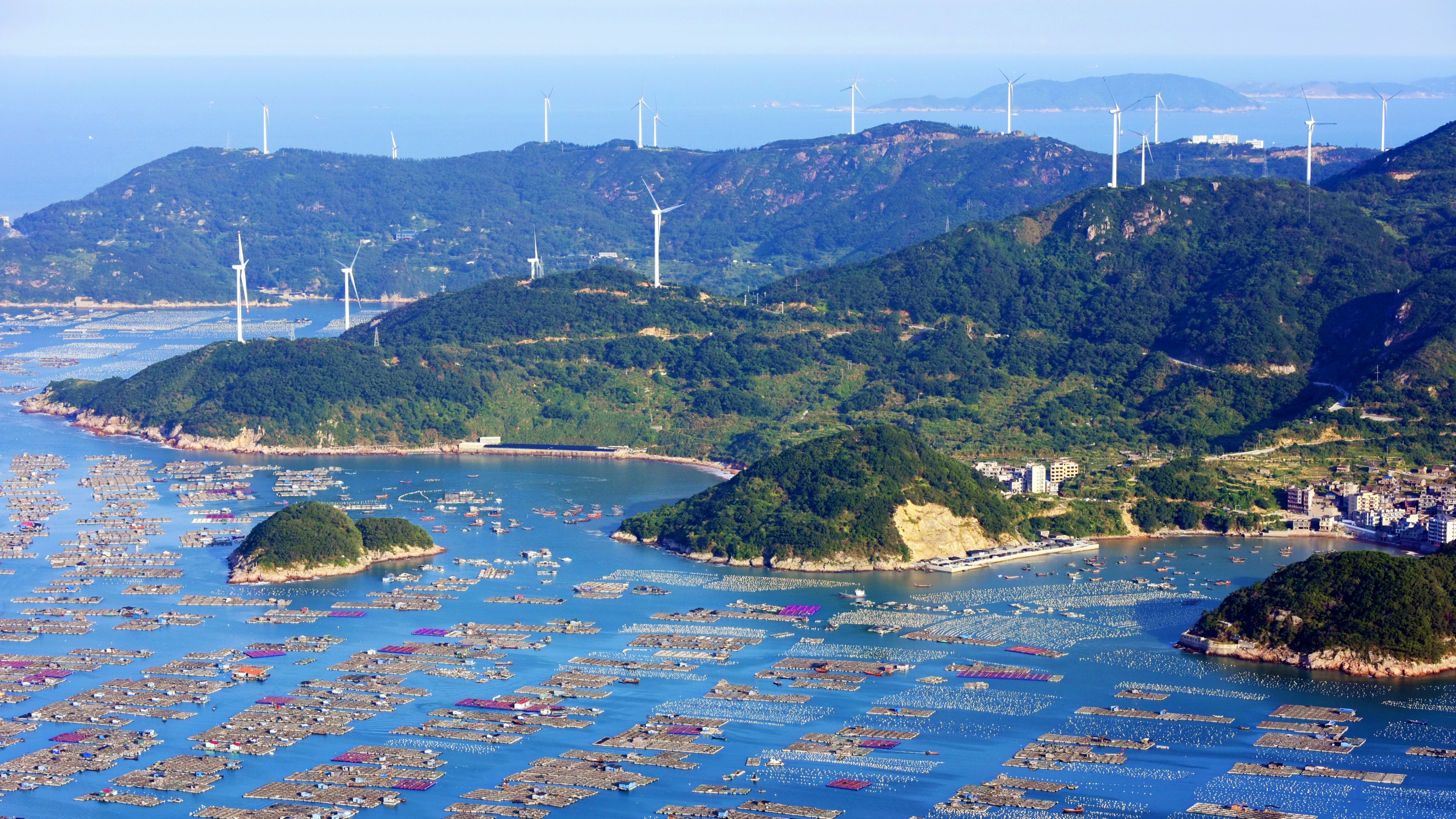 摄时:去秋,今冬     摄地:福州沿海,奇达村     欢迎续赏周边的