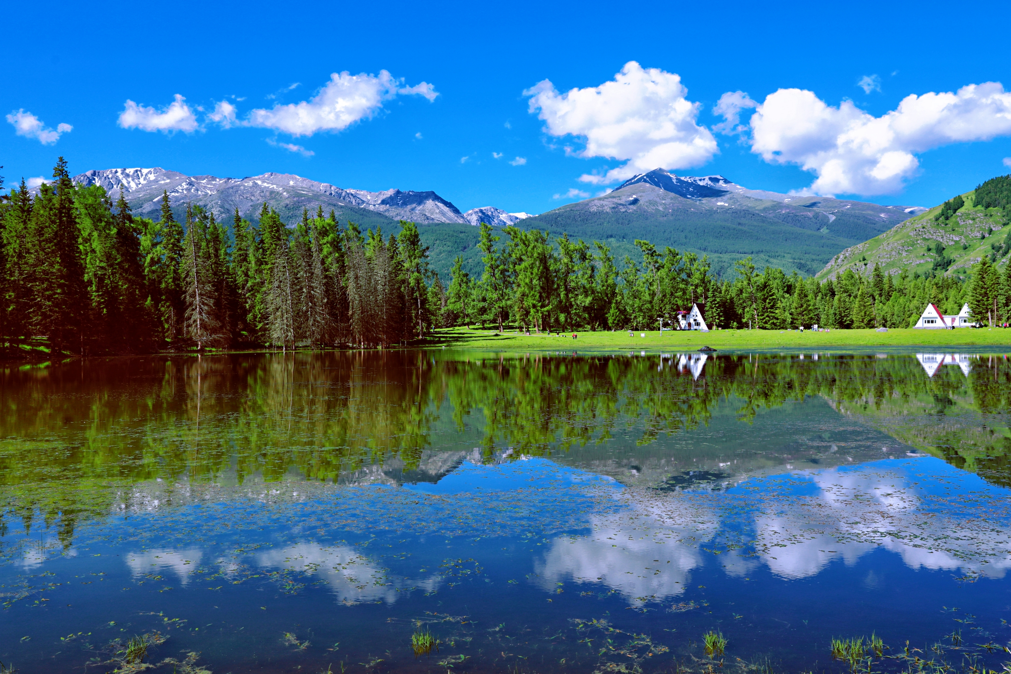 喀纳斯风景