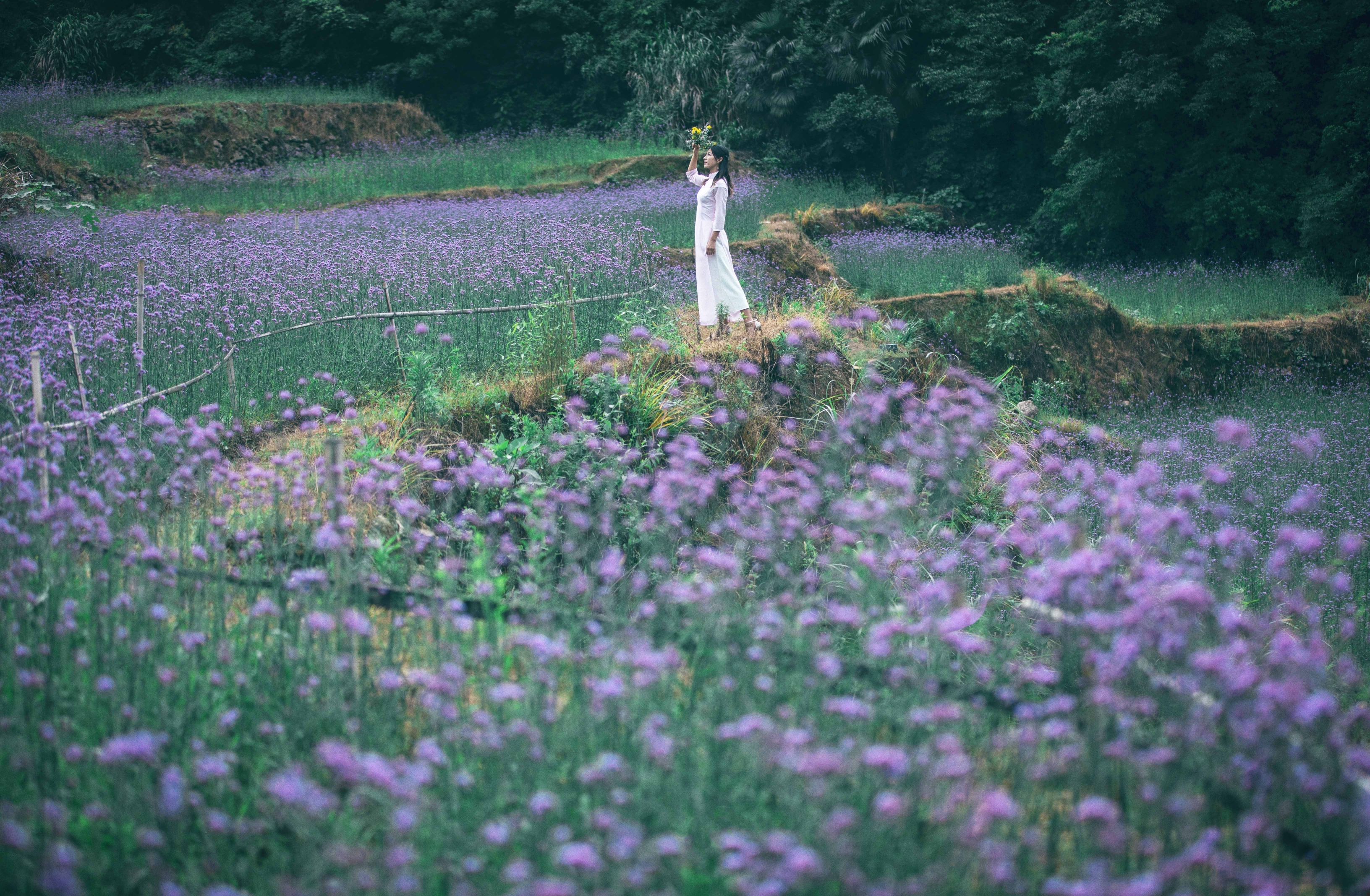 里宅马鞭草人像
