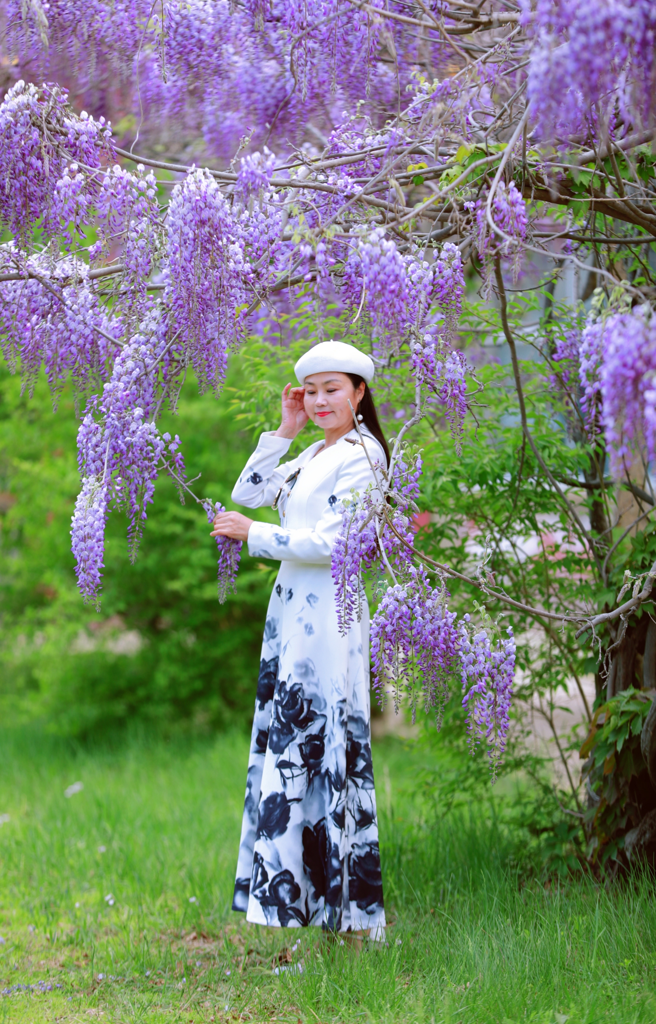 紫藤人像(250幅)