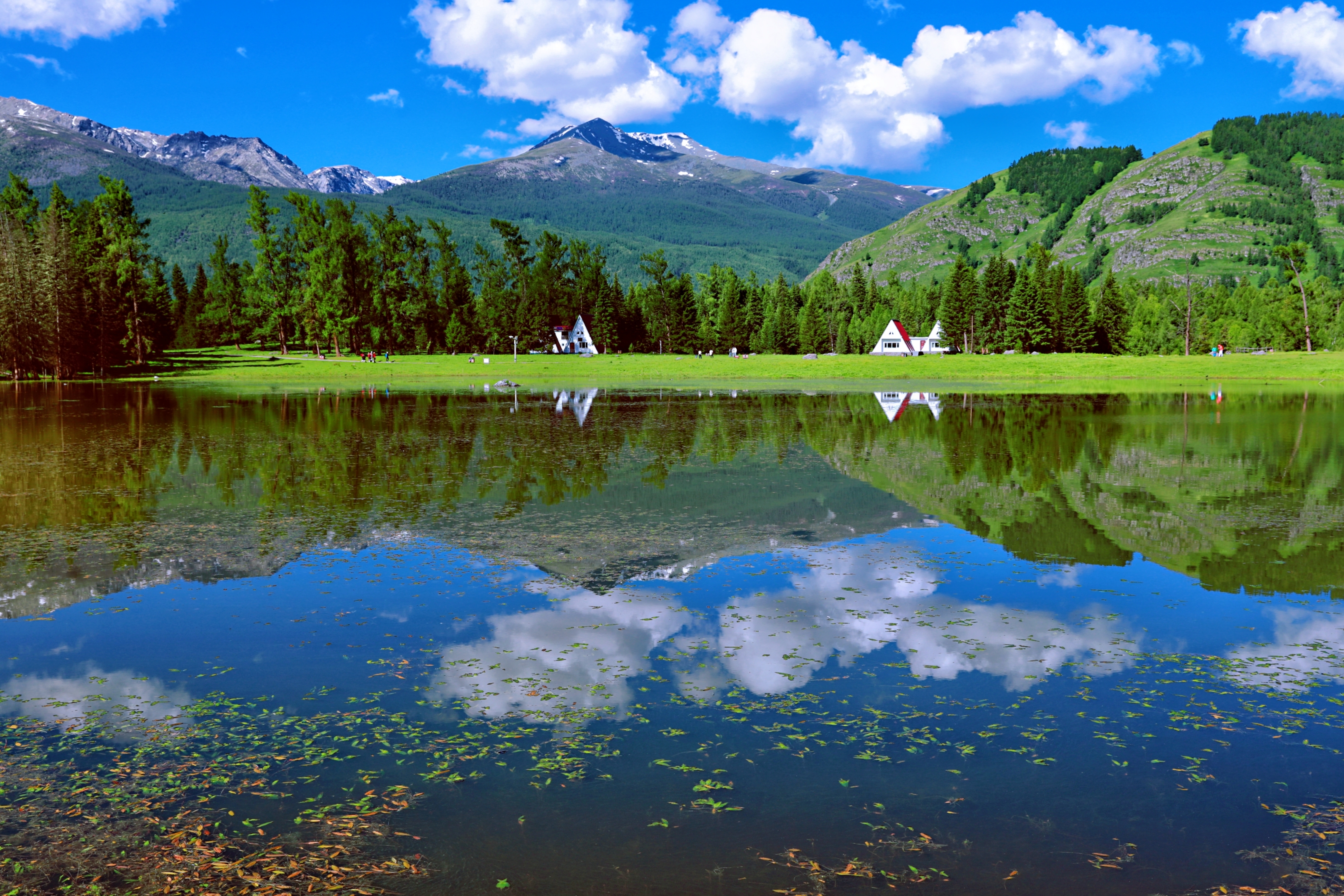 喀纳斯风景