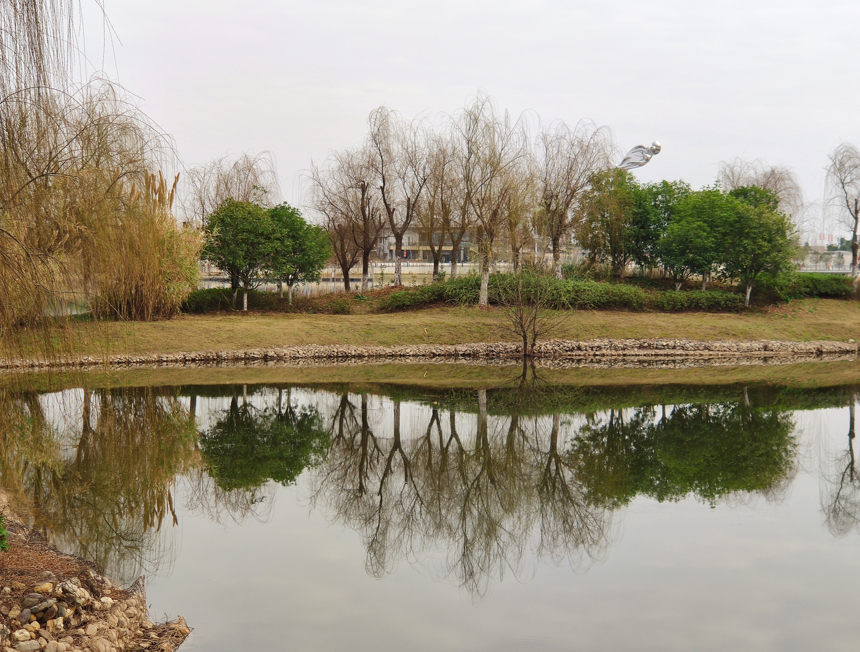 天气晴朗,我和家人来到南昌市九龙湖湿地公园游玩