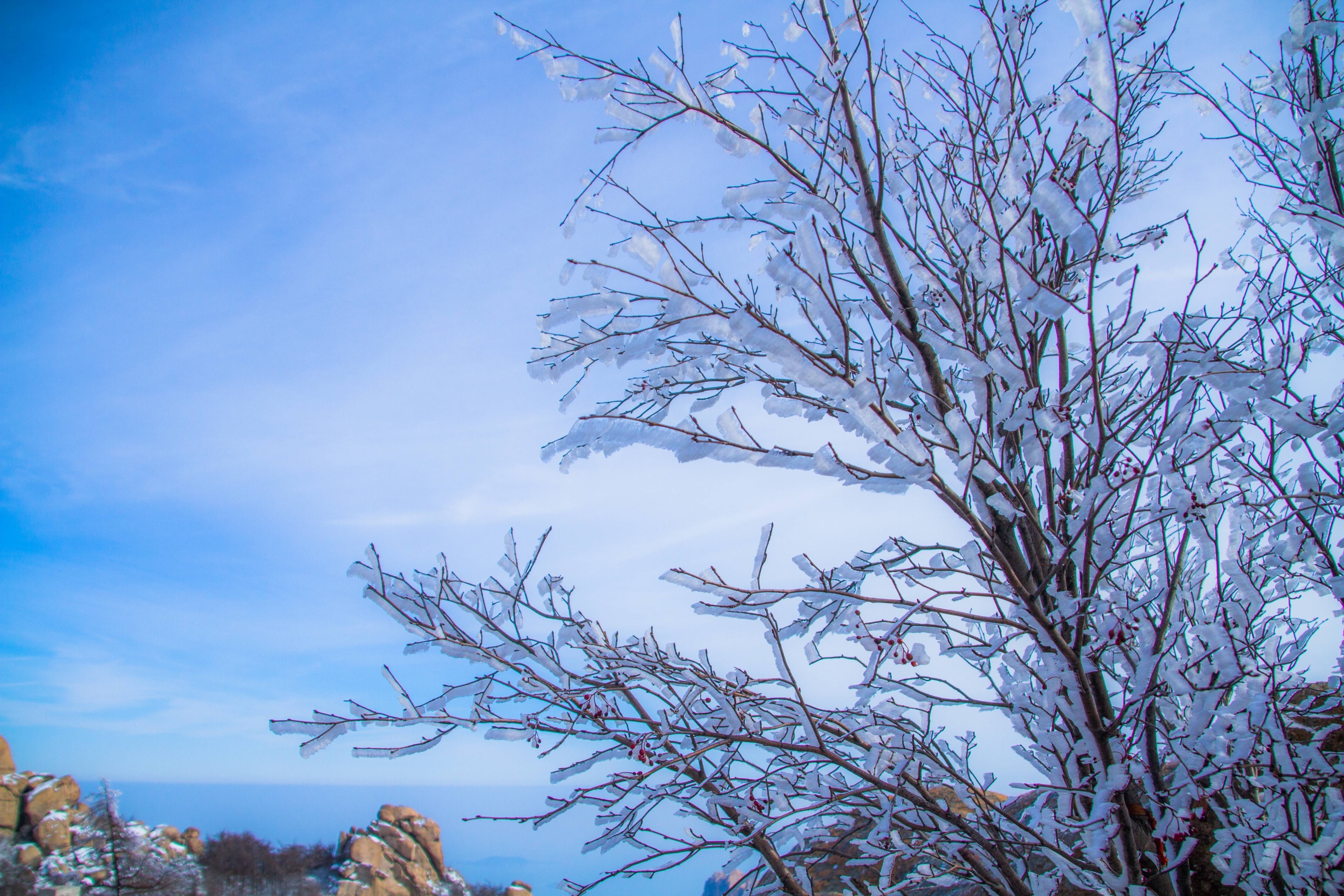 冬天被称为 崂山最美的季节 可赏雾凇 冰挂等 冬天的崂山雪景是很漂亮