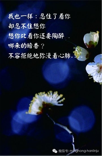 忍住了看你却忍不住想你
