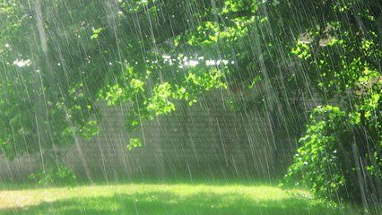 天空飘起毛毛雨