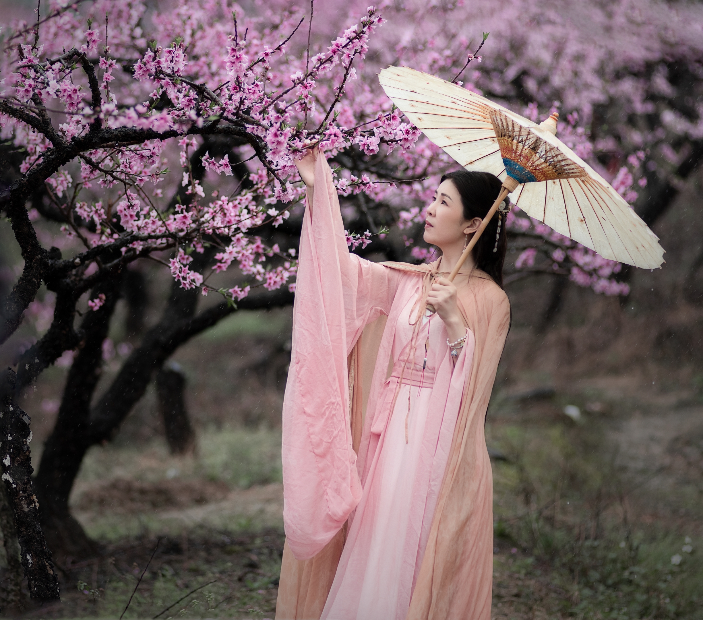 桃花诺
