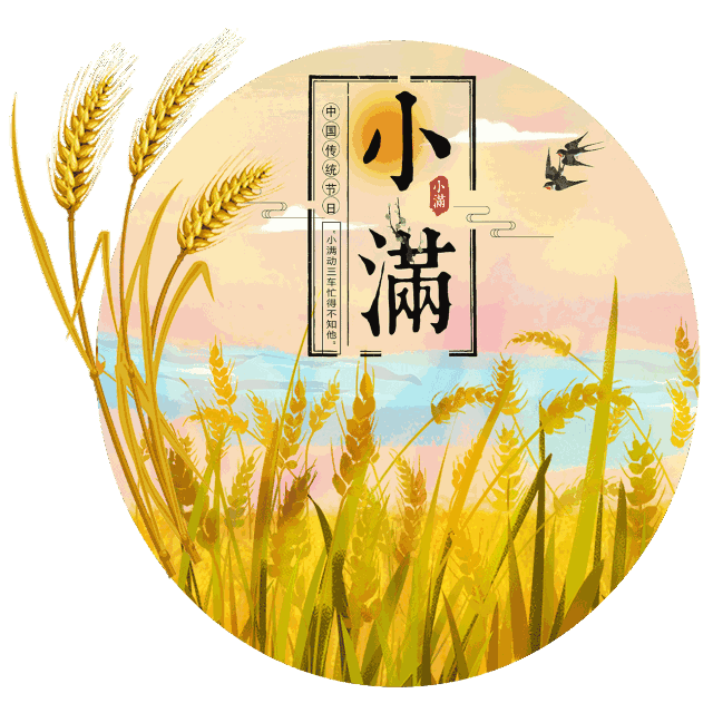 【藏头诗】新韵《七绝·今日小满》文/塞外云天【今】时孟夏景青葱