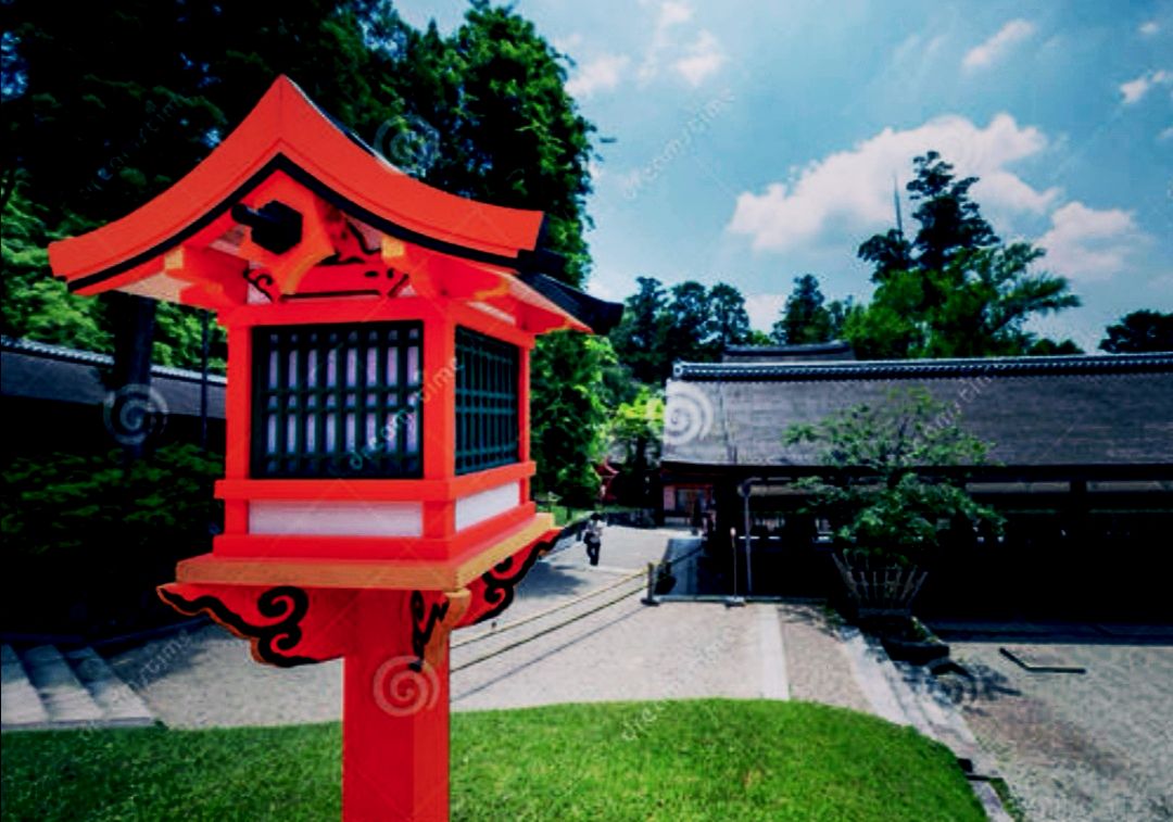 红与绿的冲击春日神社鹿公园