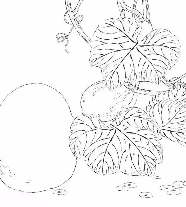 葫芦