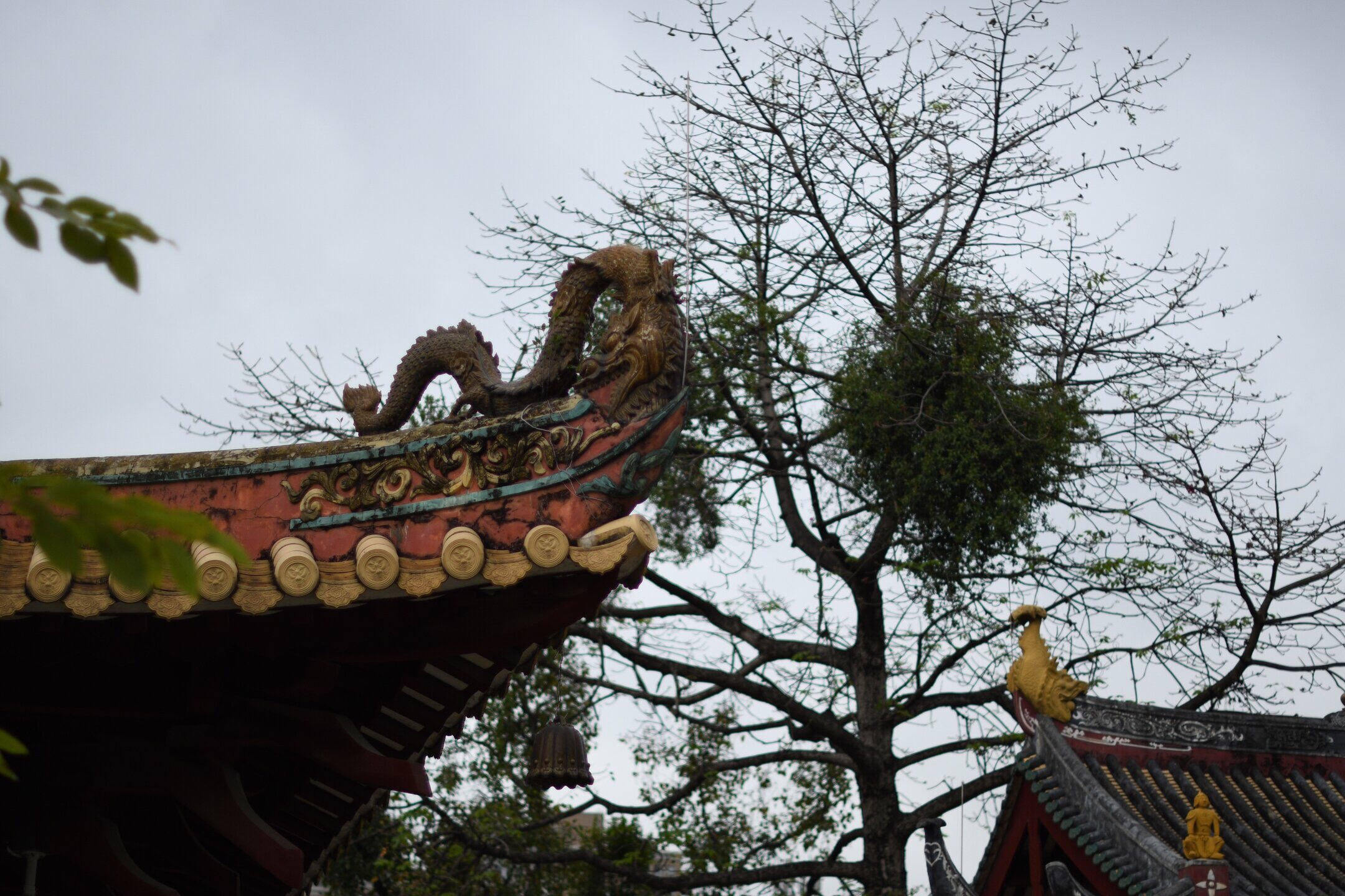 光孝寺(首发)