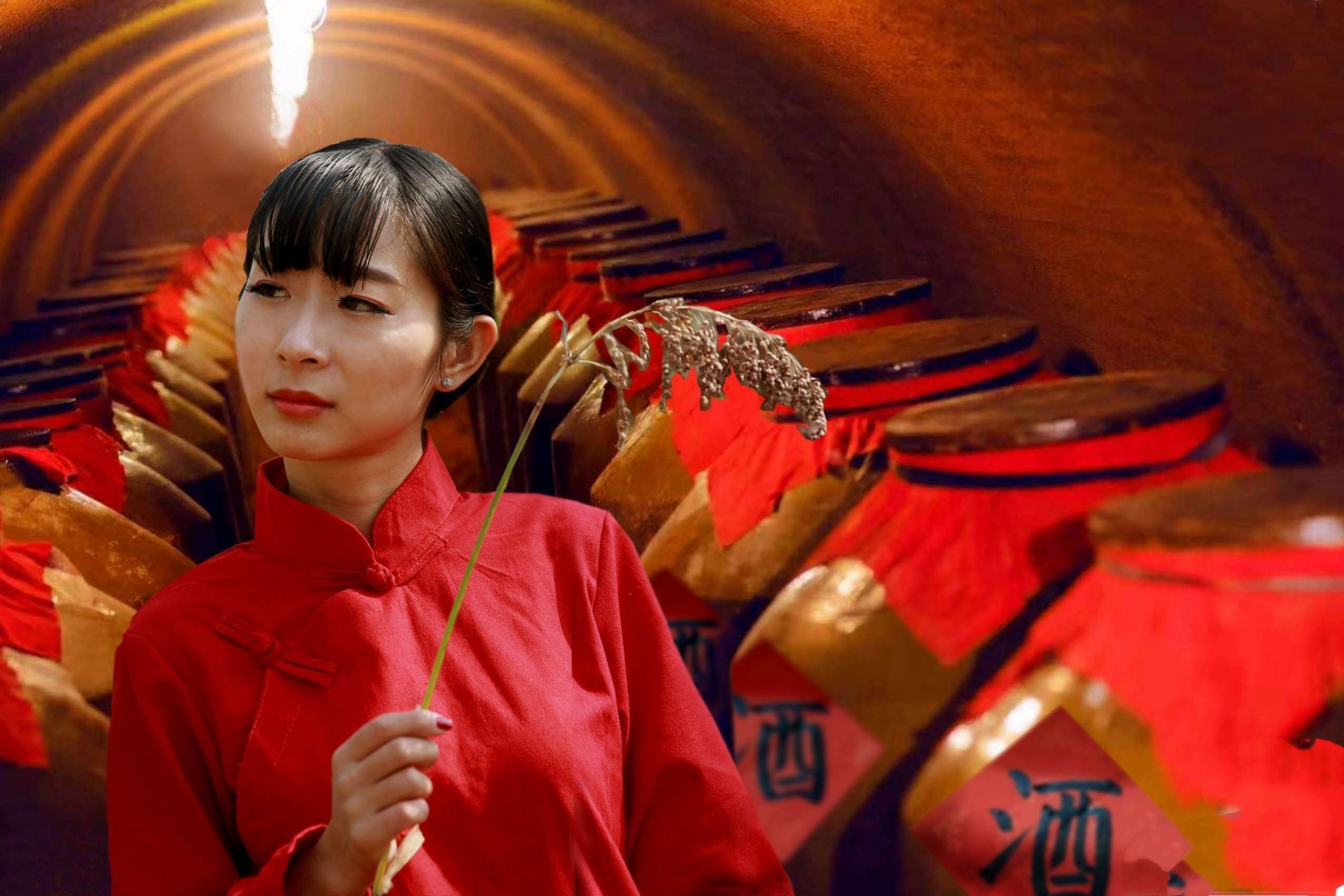 九儿红高粱美丽的女儿
