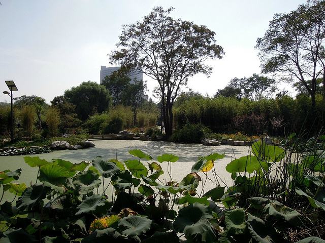 济南市旅游景点一泉城公园