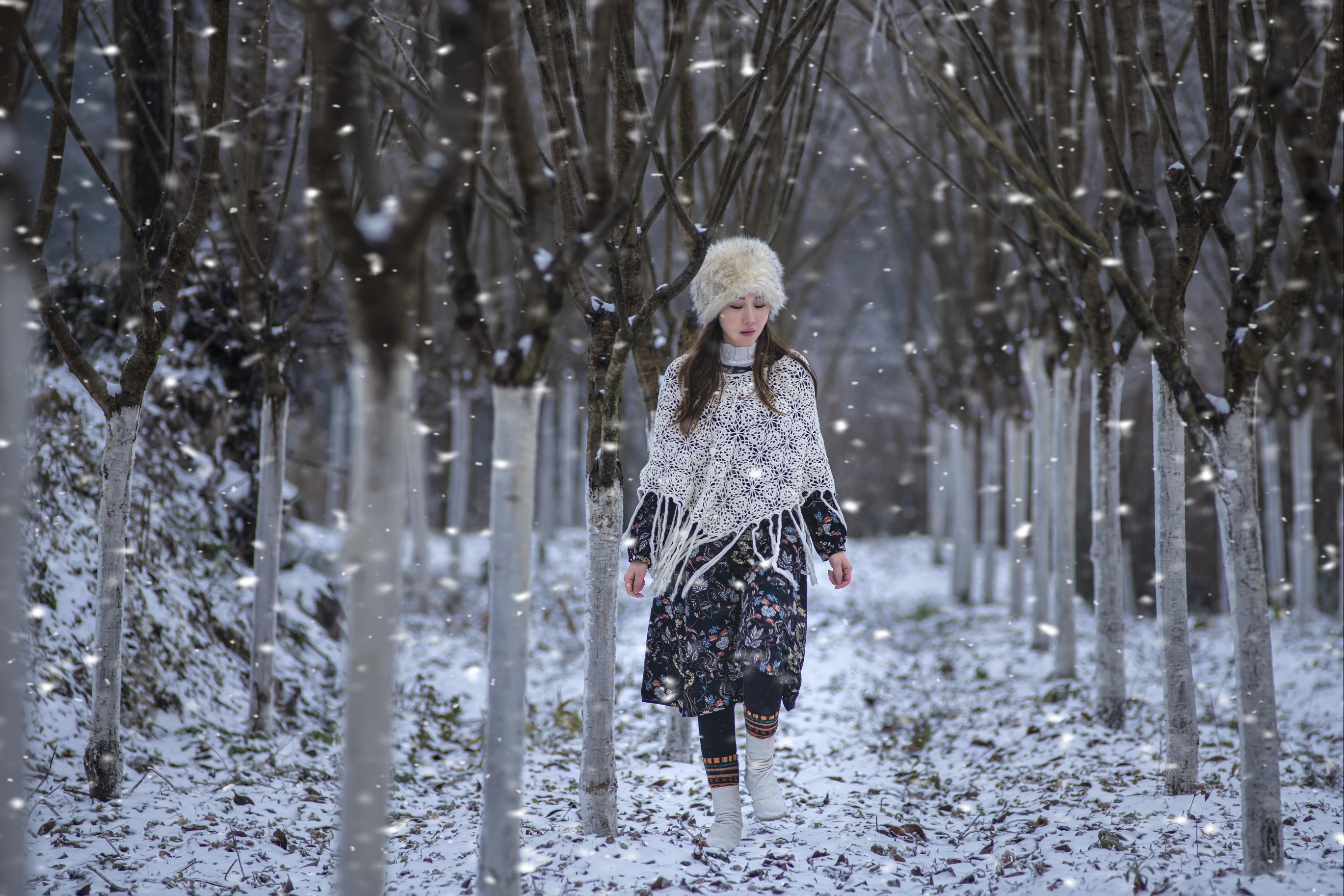 《雪》
