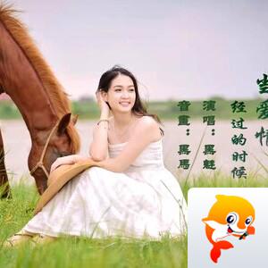 探索爱情的魅力作文