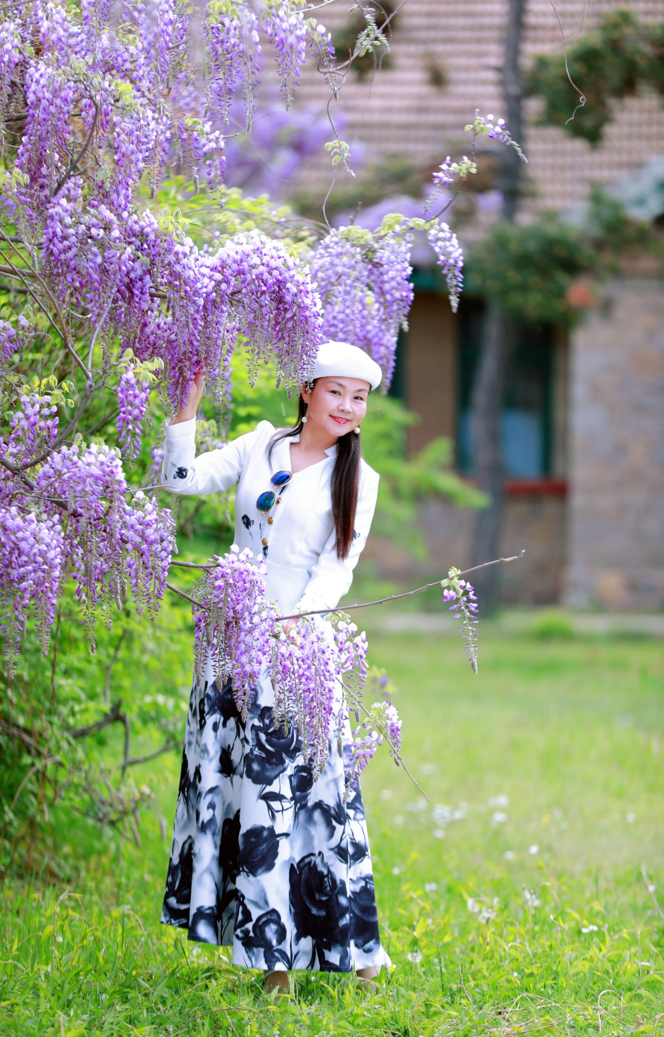 紫藤人像(250幅)