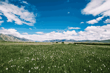 远方的草原原创歌词