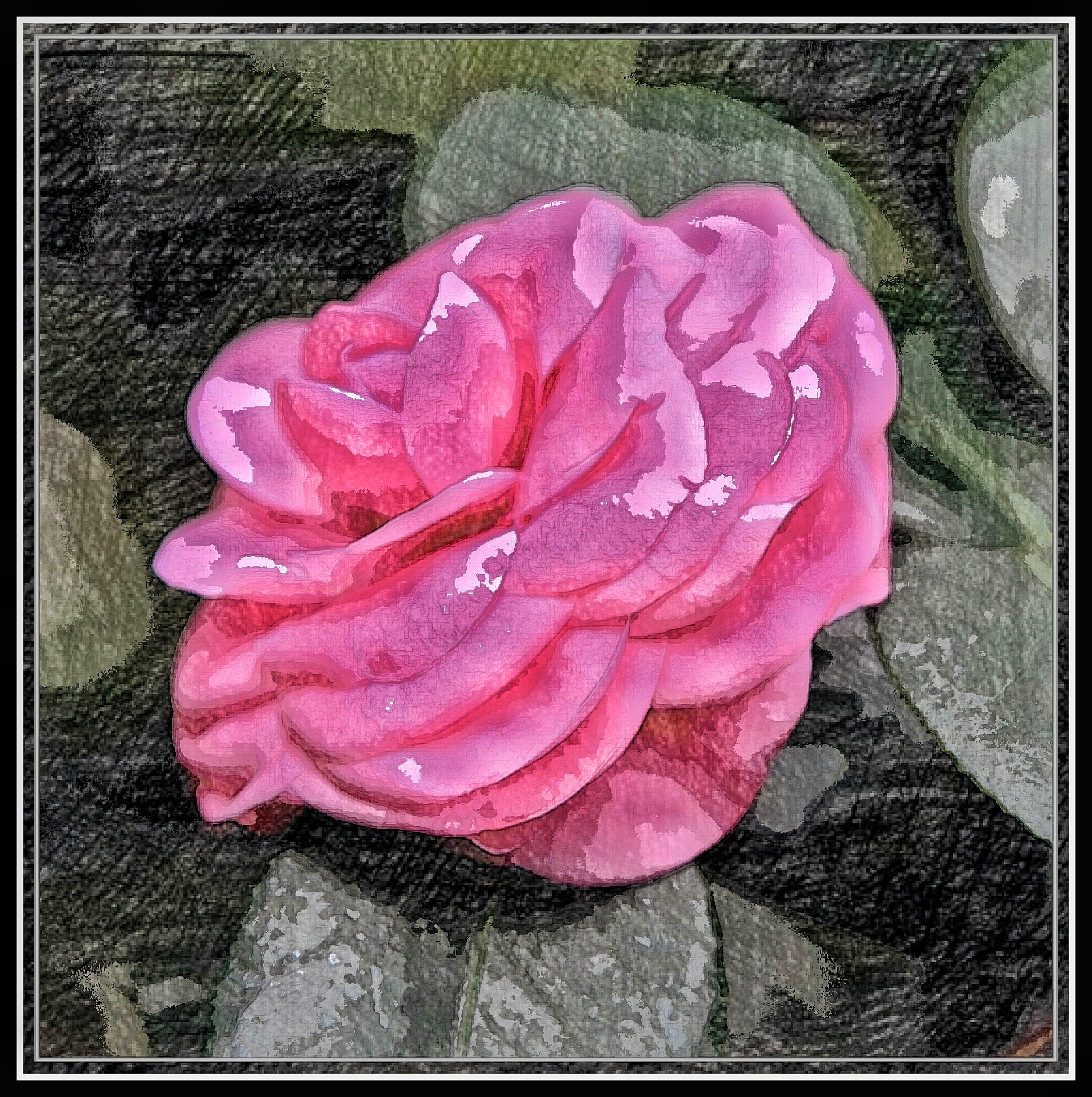 首发油画山茶花