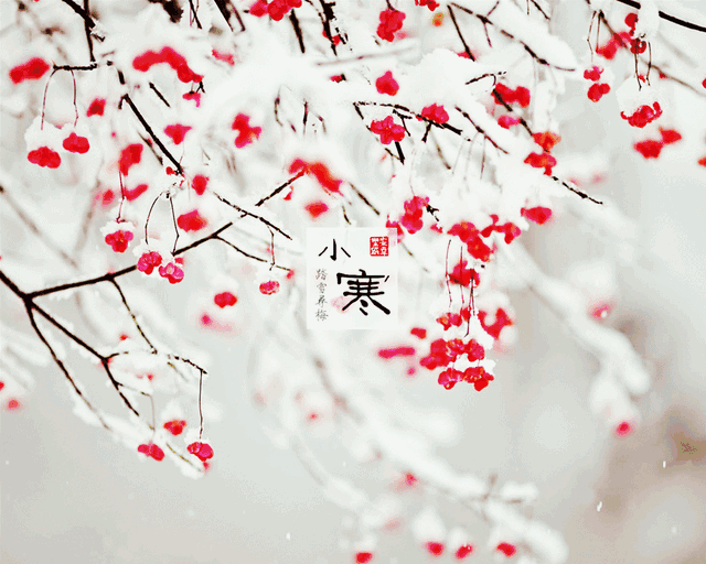 【原创首发】小寒瑟瑟和韵暖