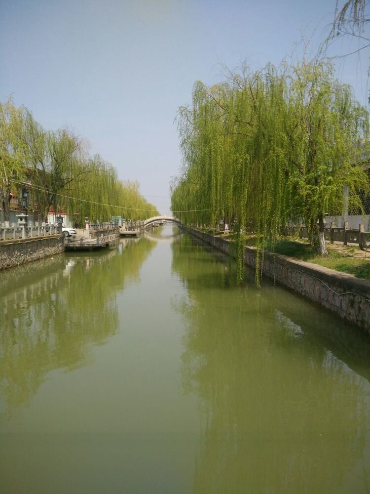 我家住在泗水河畔,所以泗水河公园是我们两岸居民早晨,晚上锻炼身体的