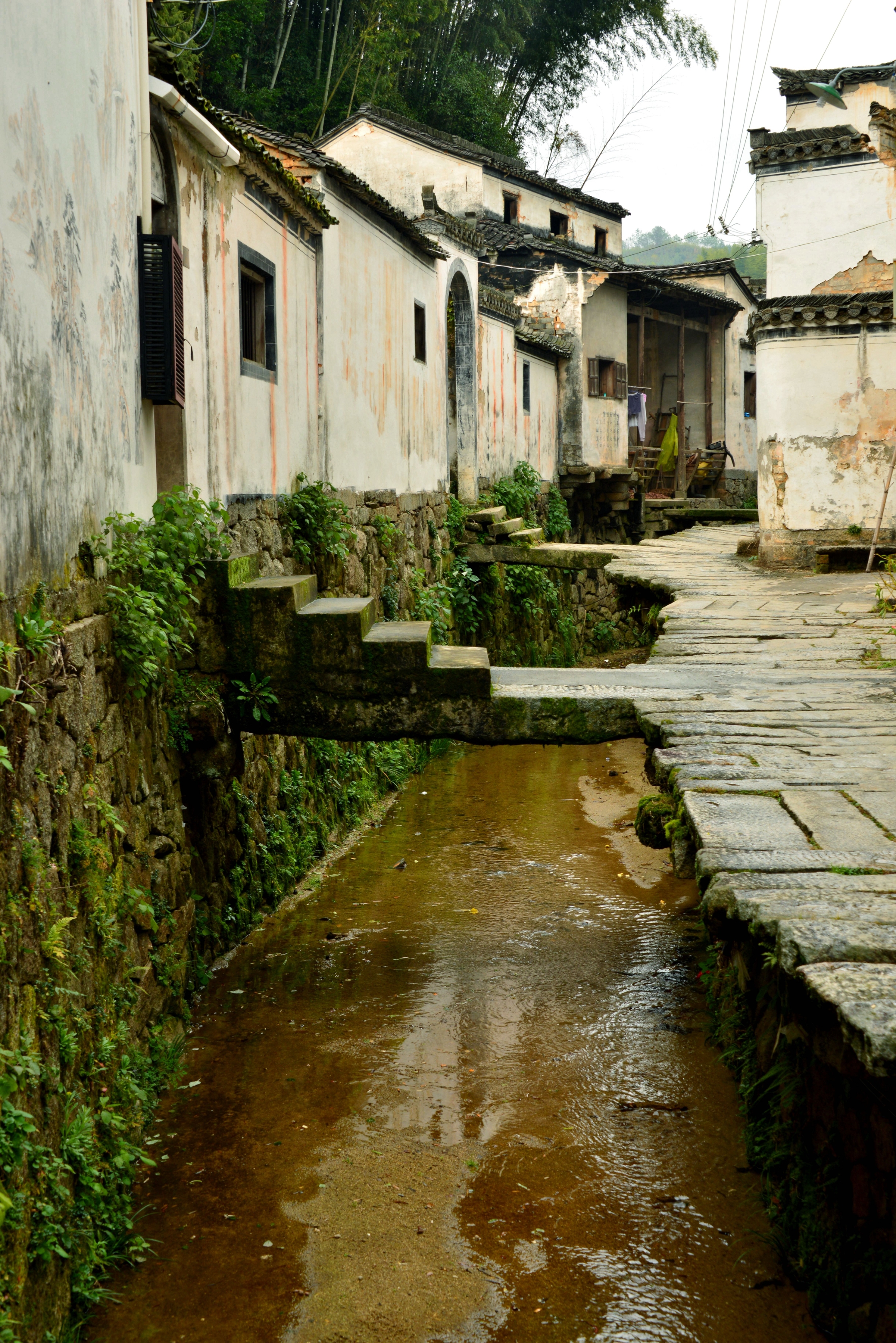 走进灵山村