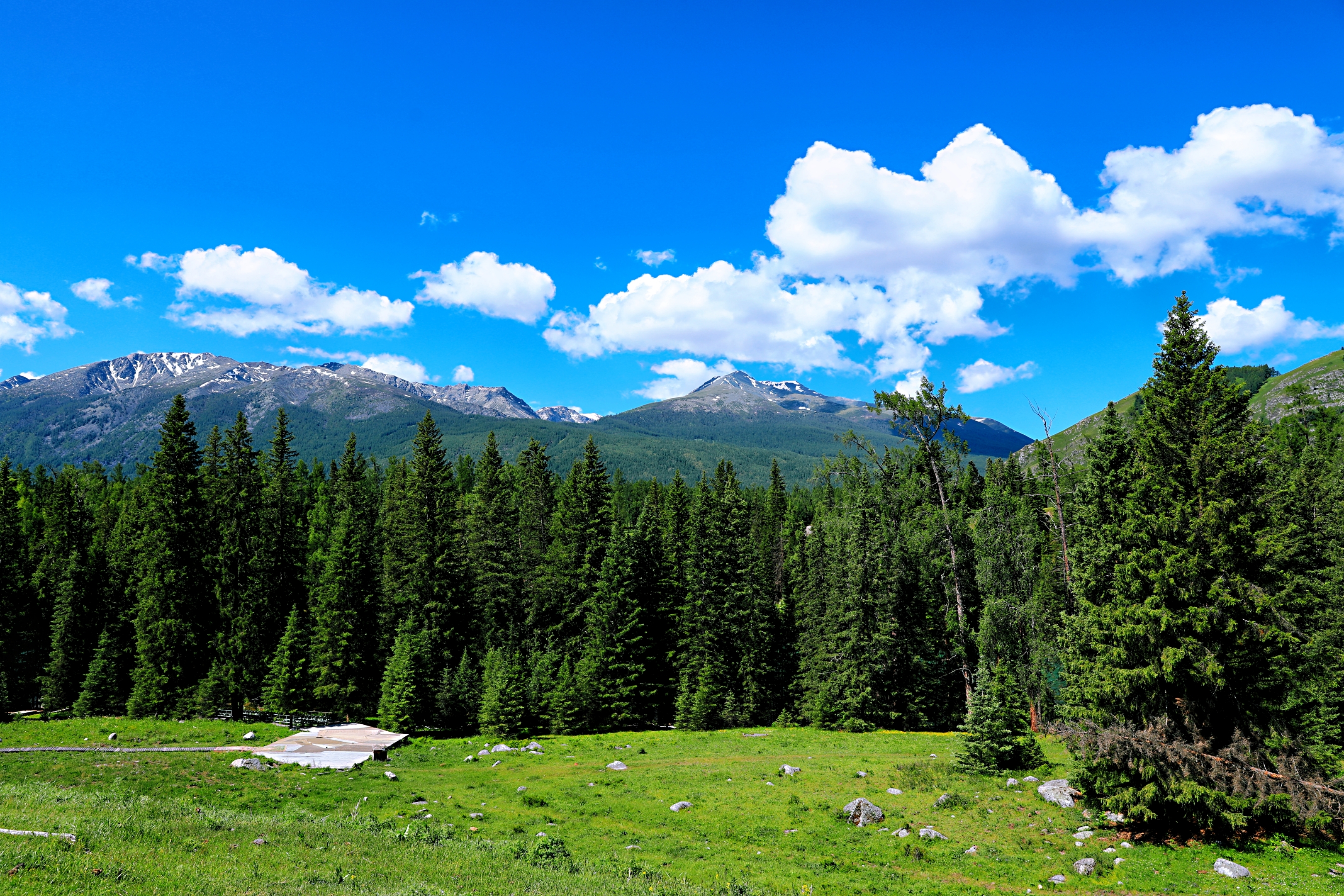 喀纳斯风景