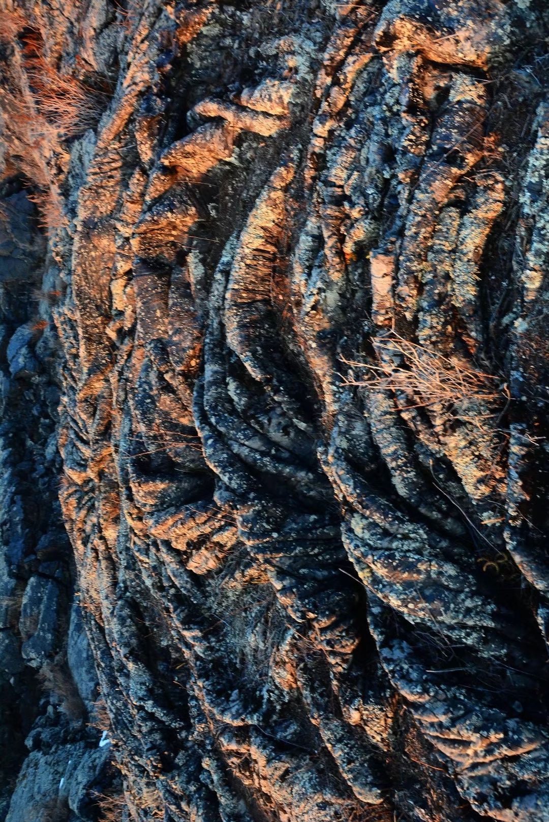 五大连池火山地貌