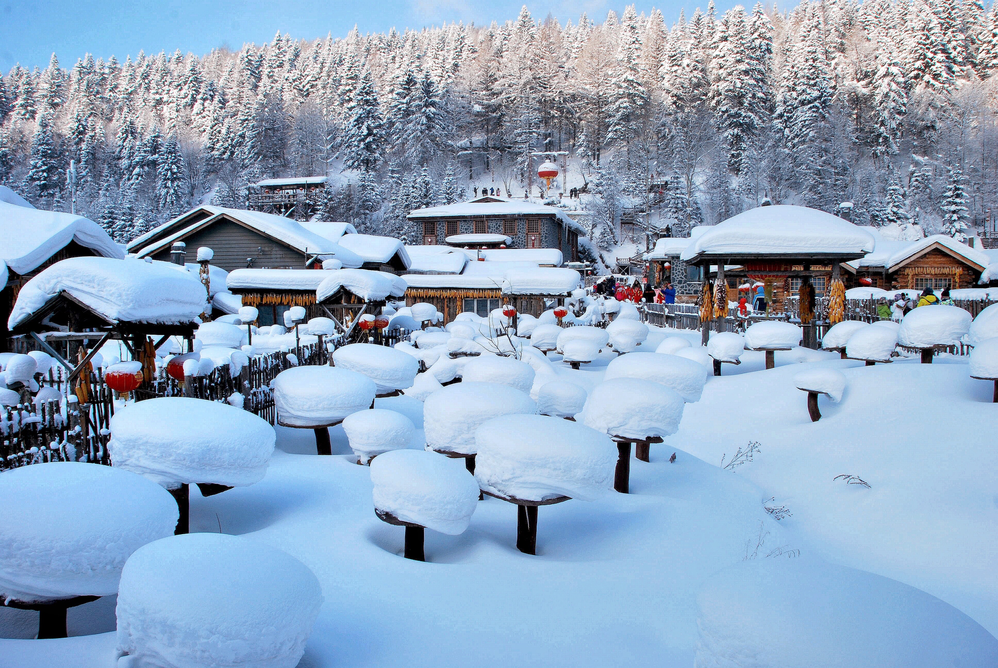 中国雪乡(首发)