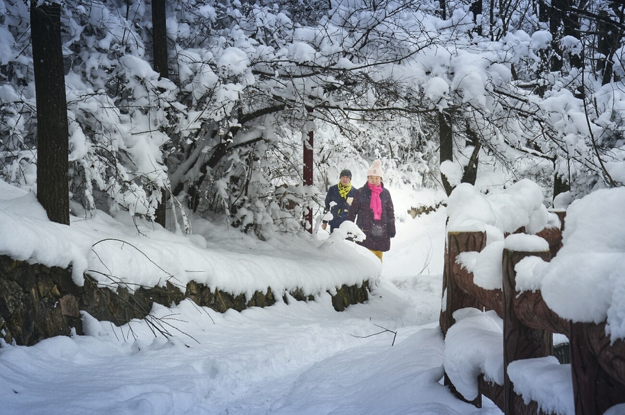 初春的第一场雪