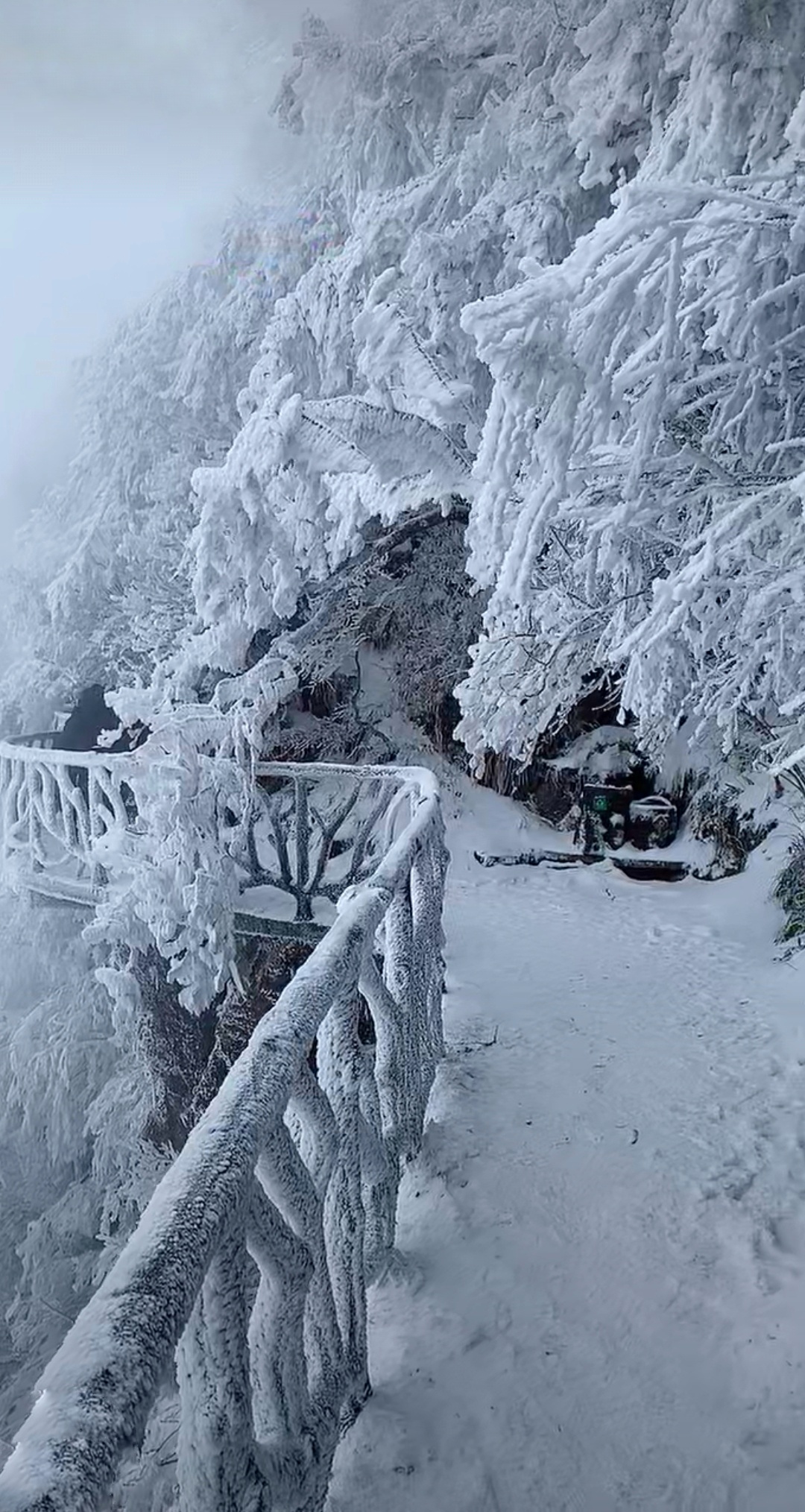 张家界天门山雪景摄影简美诵读简美