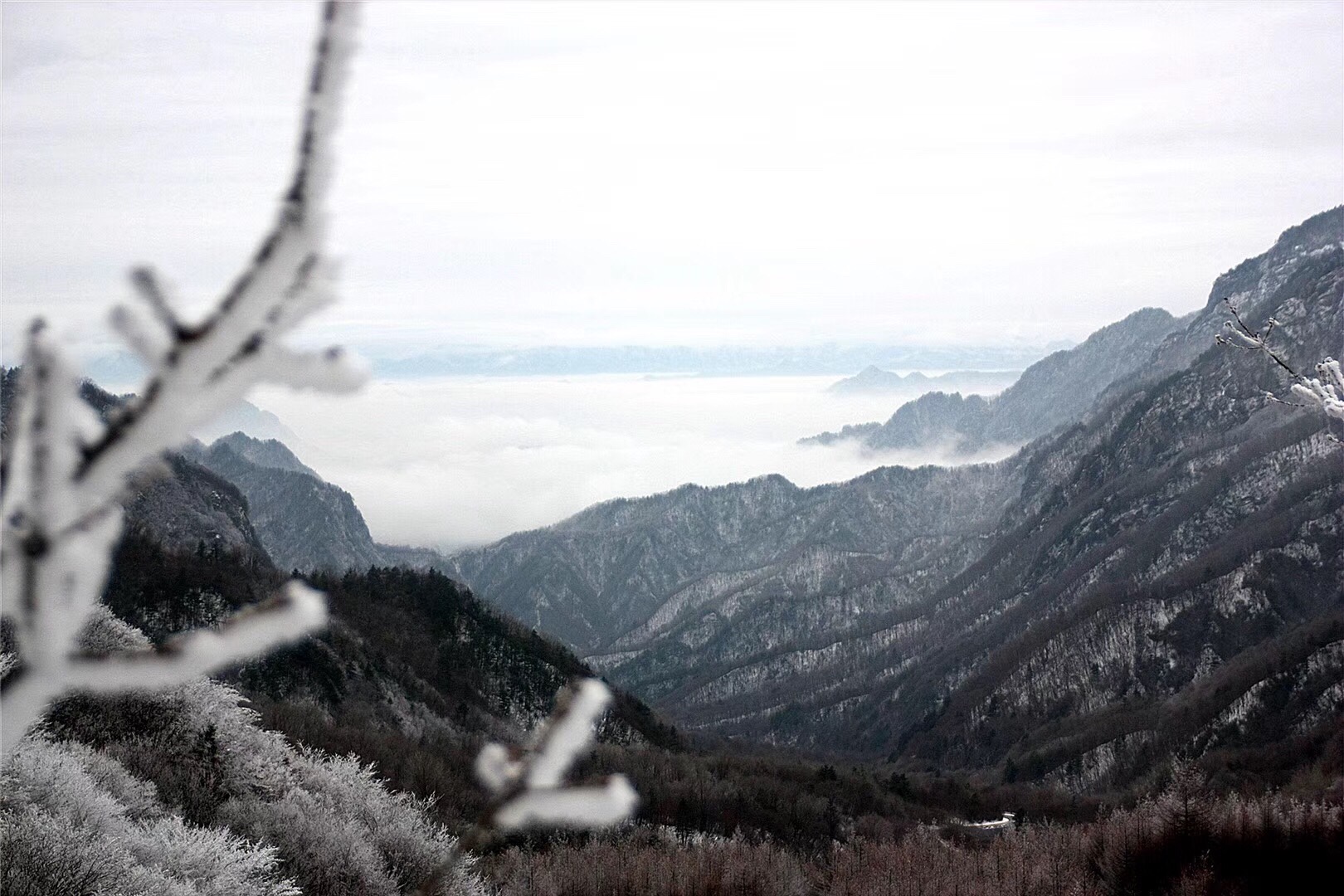 【首发】终南山冬雪云海