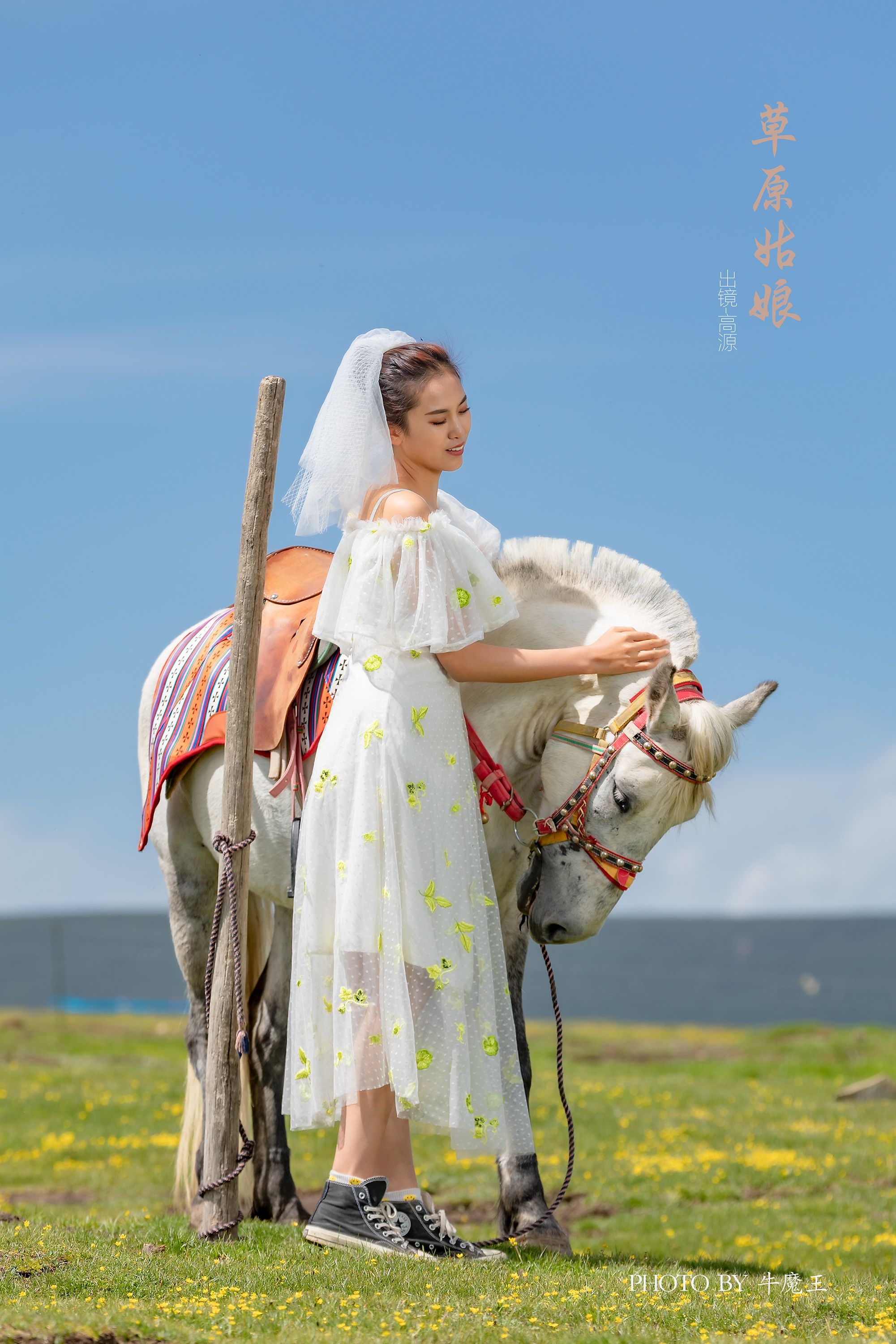 草原姑娘