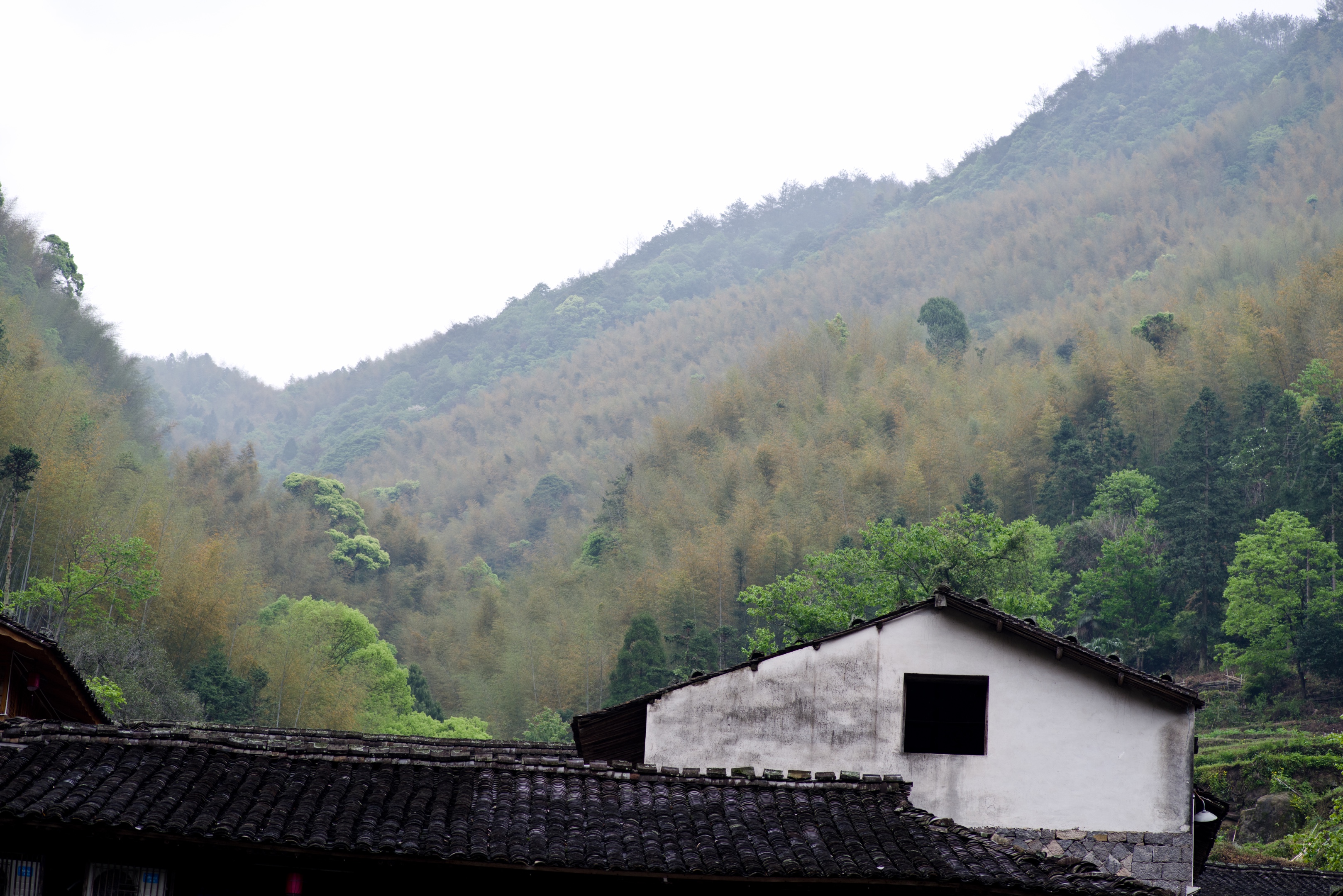 烟雨山村