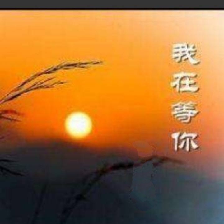 我在等你作者余秋雨