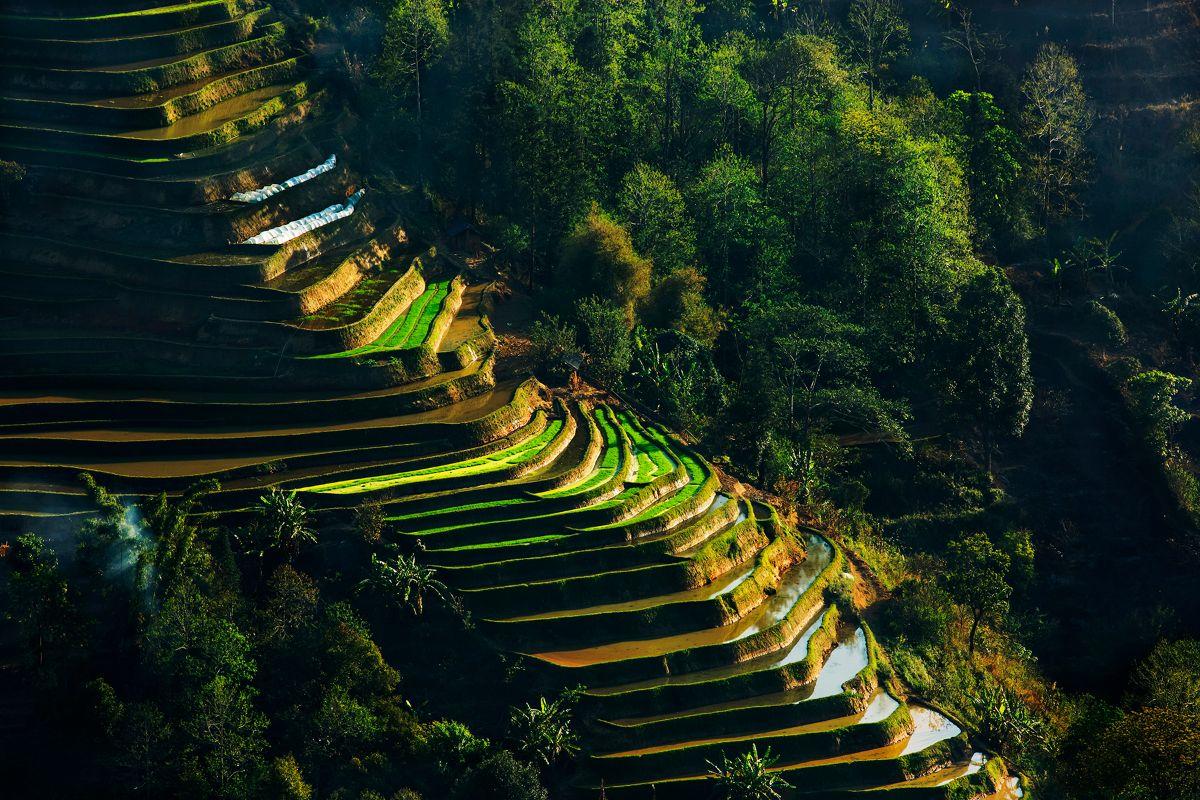 元阳梯田