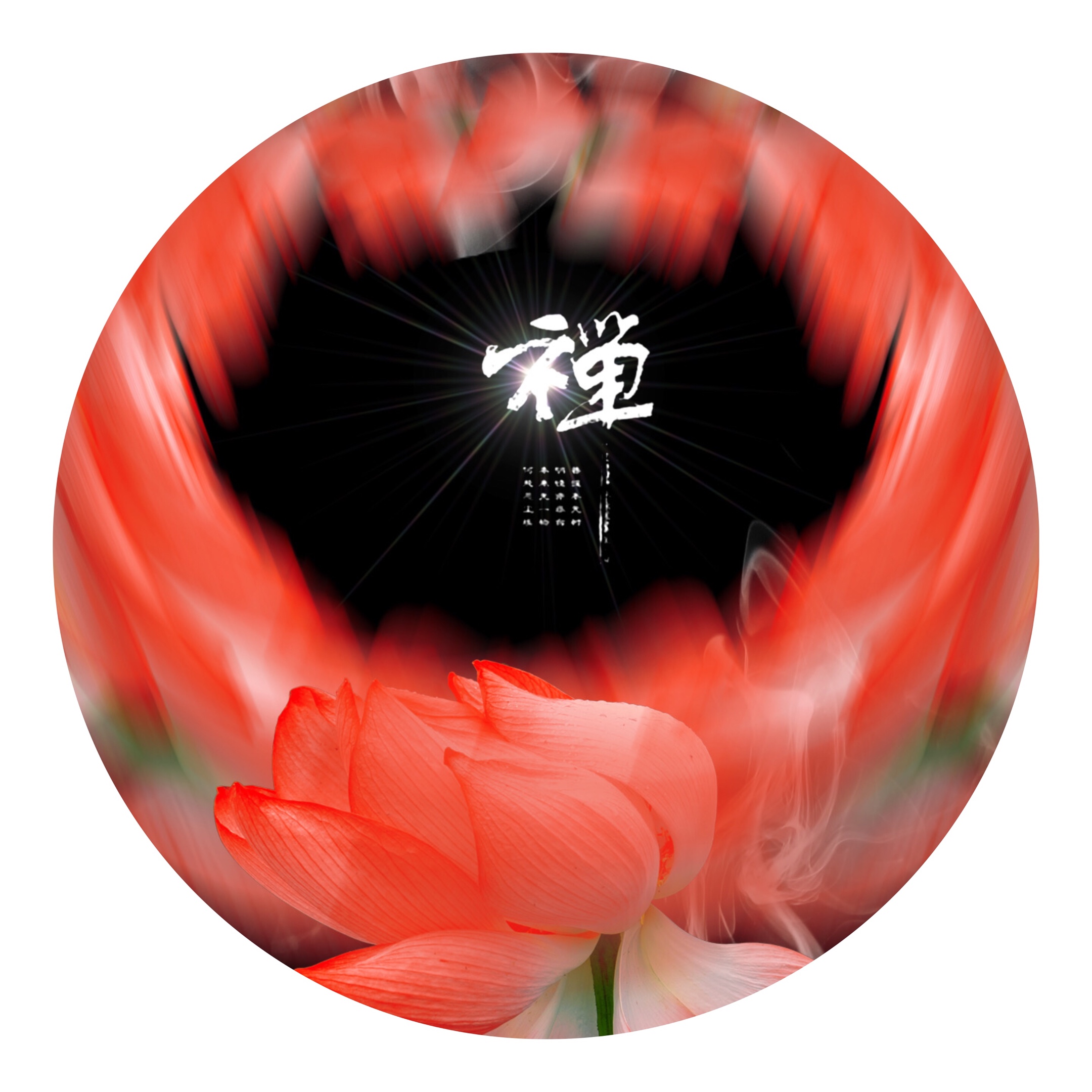 禅意荷花