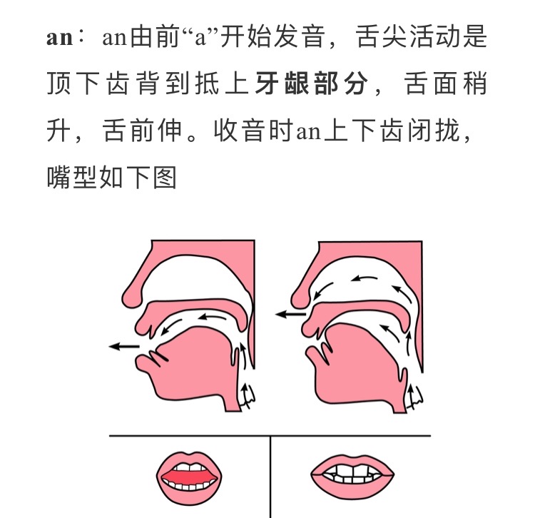 ang发音时,先发a.舌头逐渐后缩,舌根抵住软腭,气流从鼻腔通过.