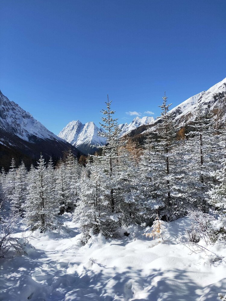 原创首发四姑娘山的雪景我也是醉了