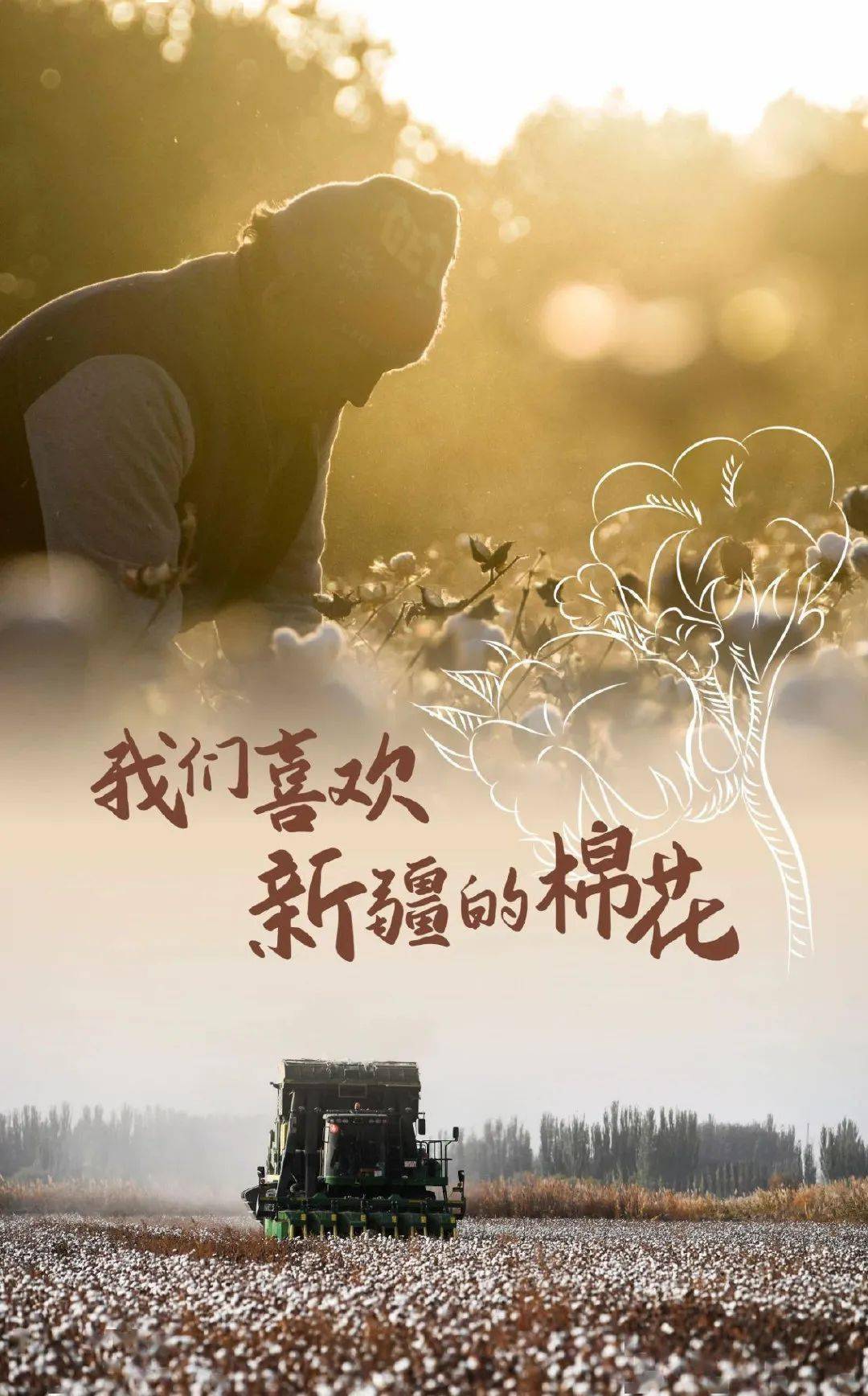 新疆棉花同题诗——石河子市作家协会