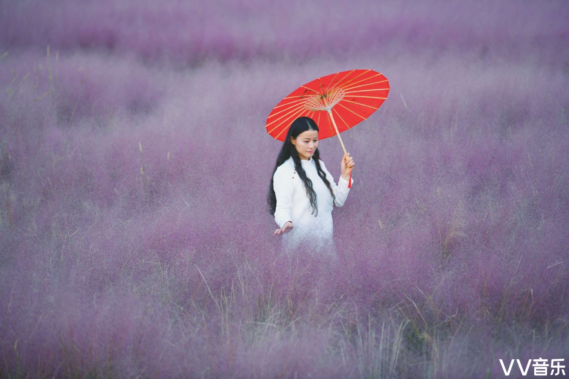 百花谷,让梦开花的地方