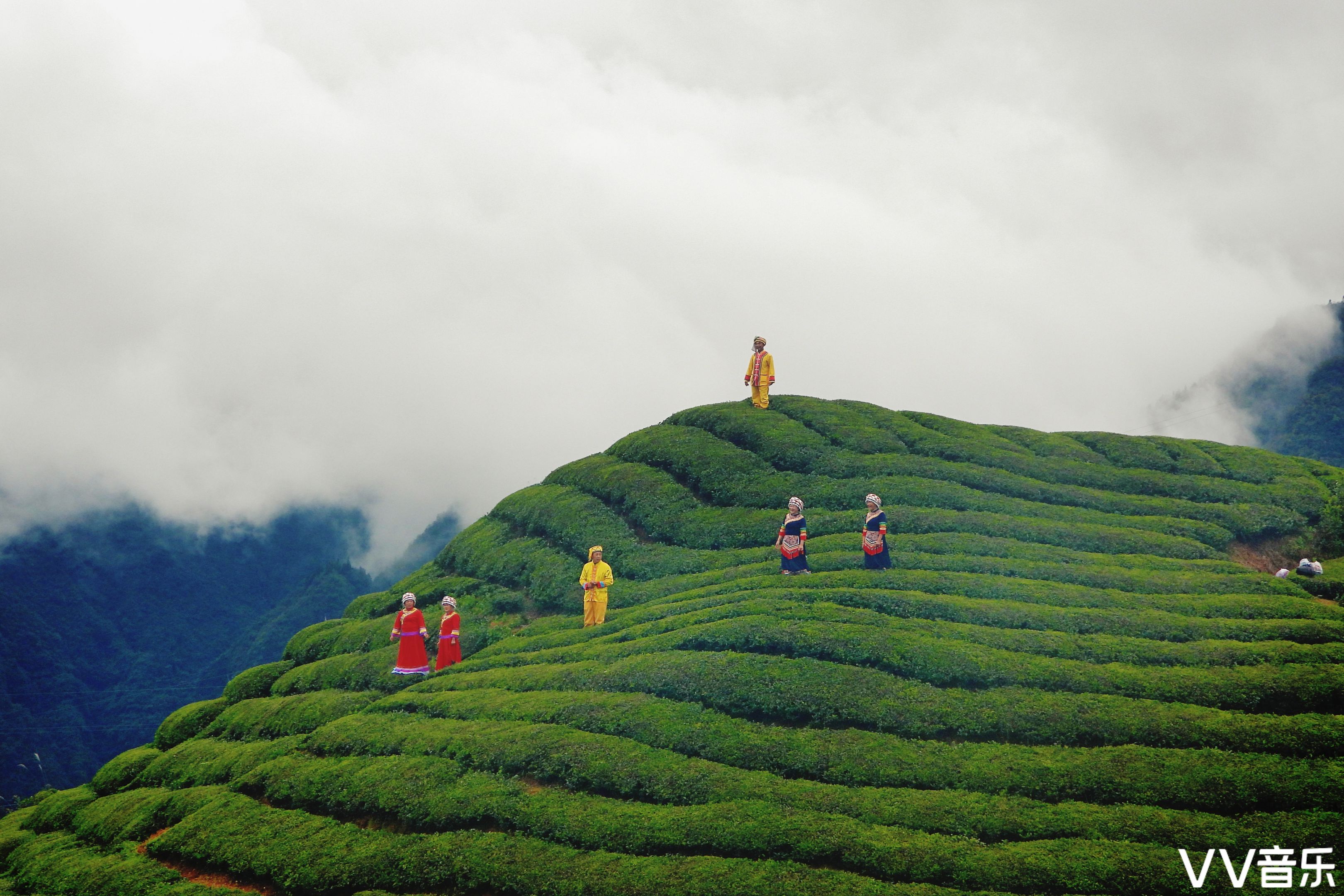中国最美茶园木耳山