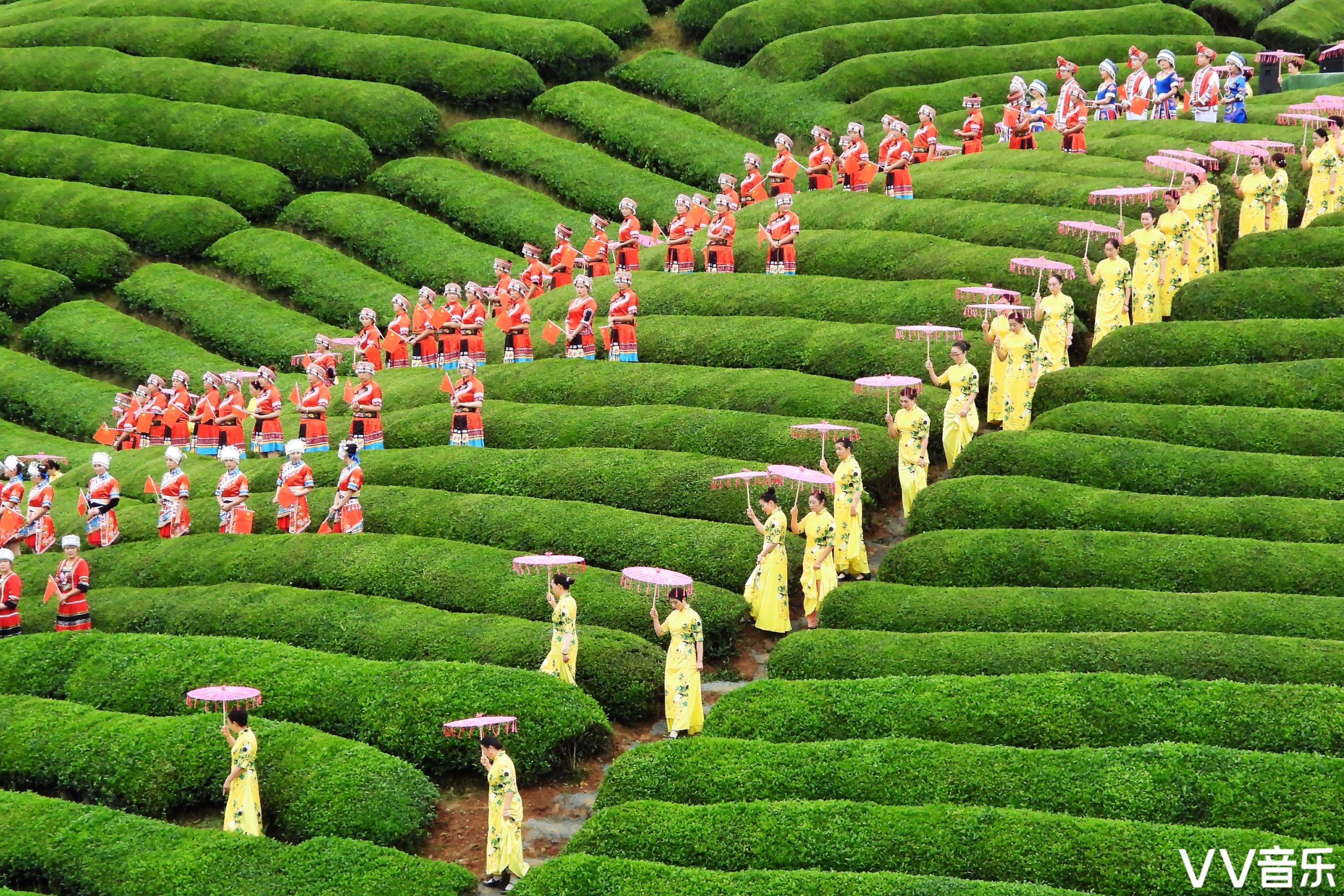 中国最美茶园木耳山