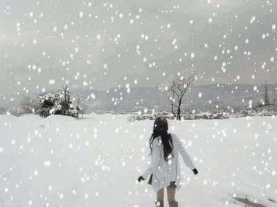 捣練子 君子/词