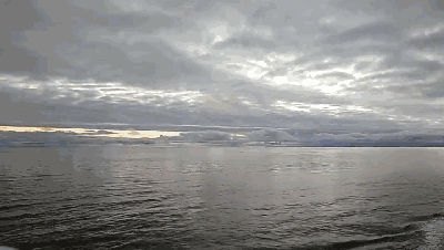 【朗诵】北风烈 作者:钓鱼哥 诵读:琢玉