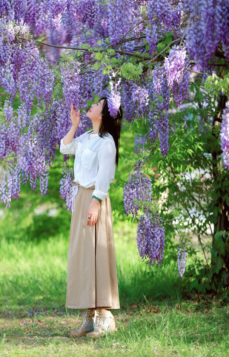 户外人像紫藤花