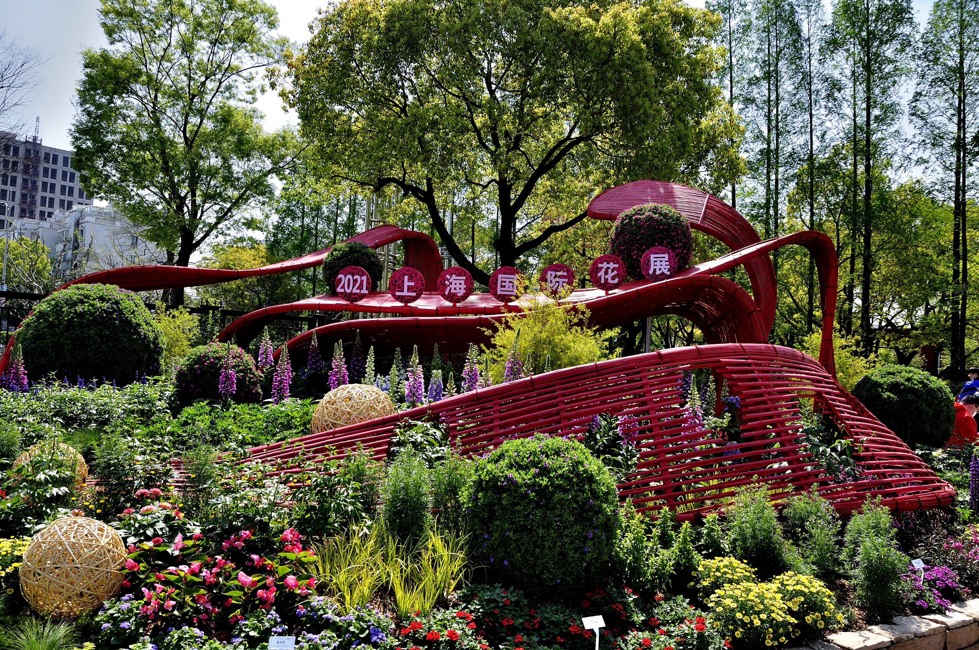 在今年的2021上海(国际)花展的新优植物展区中,由浙江虹越花卉股份