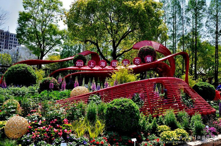 在今年的2021上海(国际)花展的新优植物展区中,由浙江虹越花卉股份