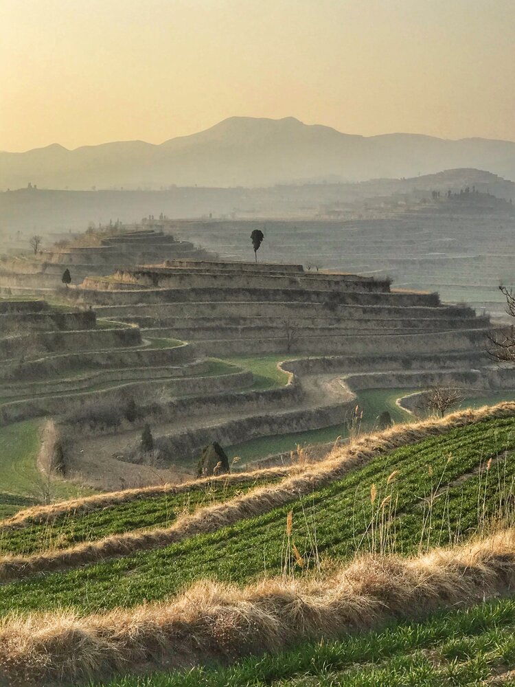 闻喜七里坡层层梯田美如画