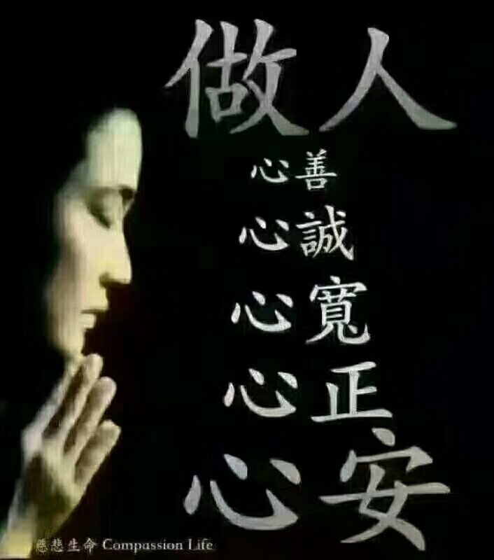 我的美文情感语录篇美由善心来心似莲花开